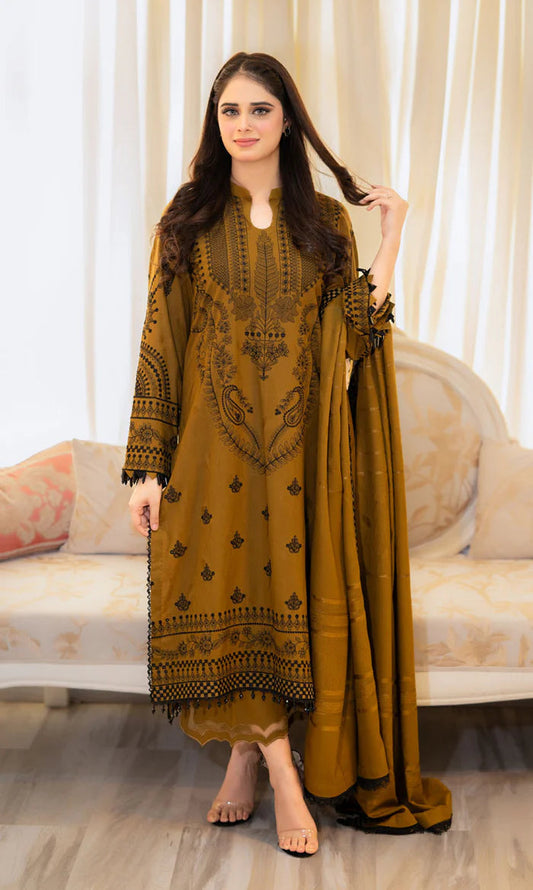 WINTER DHANAK 3PC`25 LF#DP-209 B